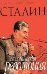Книга Сталин Экономическая революция