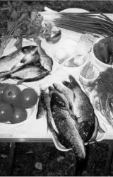 Книга Как сохранить и приготовить рыбу на водоеме и дома