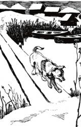 Книга Малька провинилась