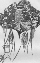 Книга De Moljera kunga dzīve