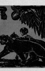 Книга DURVIS SIENĀ