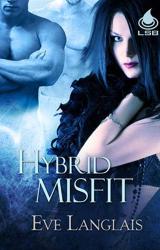 Книга Hybrid Misfit