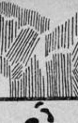 Книга Ledus tuksneša spoki