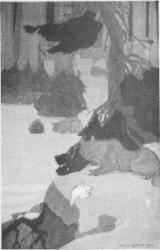 Книга Love of Life