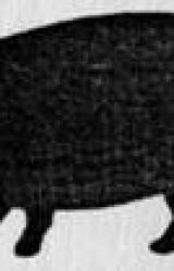 Книга Mātes izprecināšana