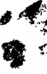 Книга Mord in Montichello
