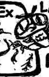 Книга Niezwyciężony