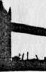 Книга PUTNI, ZVĒRI UN RADINIEKI