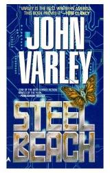 Книга Steel Beach