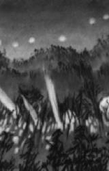 Книга The Lights at Crawford Hills