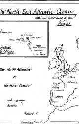 Книга The shadow of the eagle