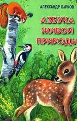 Книга Беличий порядок