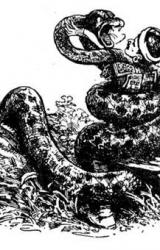 Книга Волшебная чаша