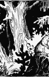 Книга Волшебный берег