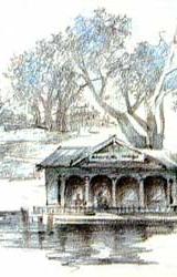 Книга Выстрел с монитора