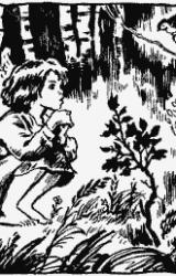 Книга Гуси-лебеди