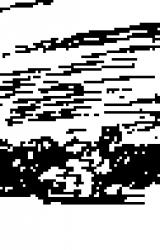 Книга Дикая собака Динго