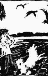 Книга Золотые ключики