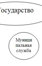 Книга Проблемы совершенствования муниципальной службы в России