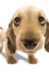 Книга Секреты Маркетинговых Стратагем