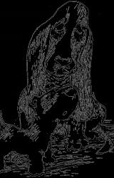 Книга Орден фарфоровых рыцарей