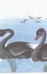 Книга Приключения Васи Куролесова