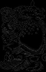 Книга Сказки о животных (сборник)