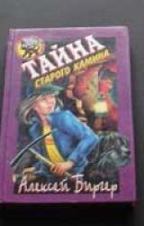 Книга Тайна старого камина