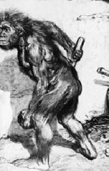 Книга Аналитическая записка о событиях во Франции осенью 2005 года