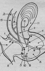 Книга Книга о счастье и несчастьях. Дневник с воспоминаниями и отступлениями. Книга первая.