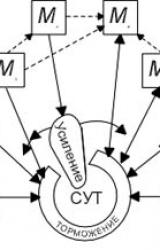 Книга Мое мировоззрение.