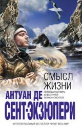 Книга Смысл жизни