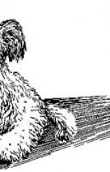 Книга По обе стороны поводка