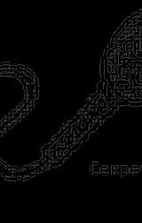 Книга Совершенствование мужской сексуальной энергии