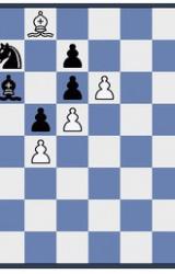 Книга Шахматные задачи