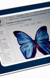 Книга Цифровой журнал «Компьютерра» № 54