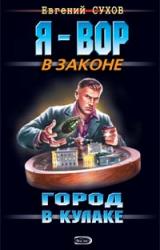 Книга Город в кулаке