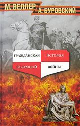Книга Гражданская история безумной войны