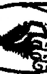 Книга Имя дома твоего (с иллюстрациями)