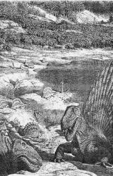 Книга История земли и жизни на ней