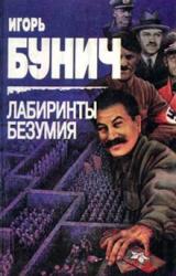 Книга Лабиринты безумия