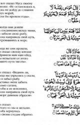 Книга Лестница в небо. В поисках бессмертия