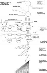 Книга Основные положения концепции Лоренца