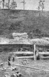 Книга Перспективы раскопок и поисков древнейших позвоночных на территории СССР