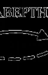 Книга Подчиненная функция