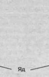 Книга Рак : практика исцеления