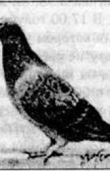 Книга Семь экспериментов, которые изменят мир