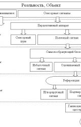 Книга Тайна Карлоса Кастанеды. Анализ магического знания дона Хуана: теория и практика