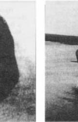 Книга Тайны московских монастырей