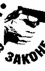 Книга Жесткий ответ